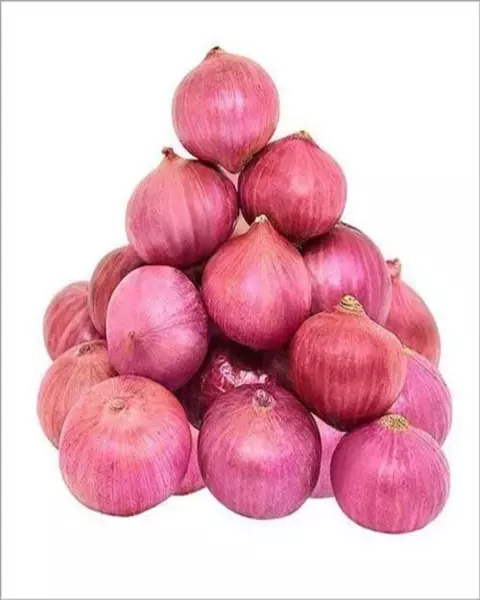 onion