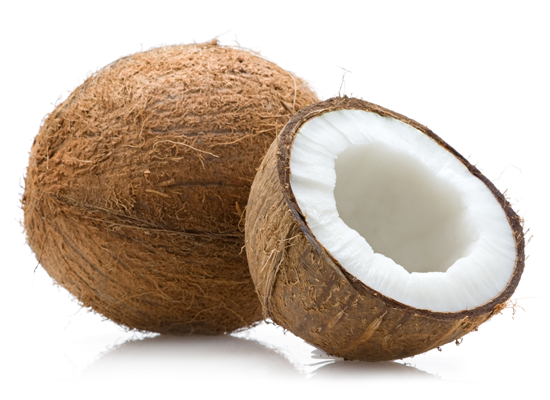 coconut